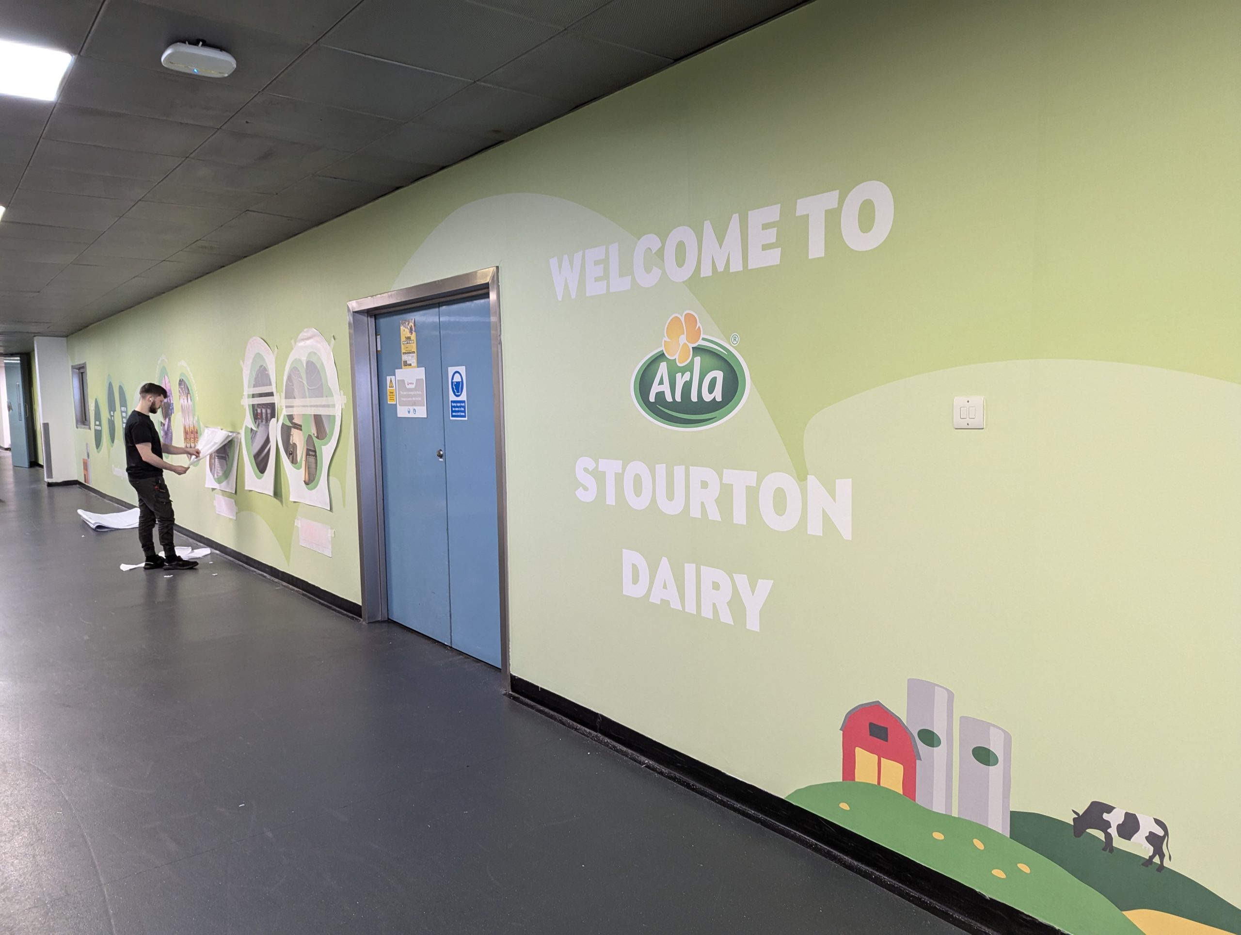 Arla Stourton Dairy wall graphics
