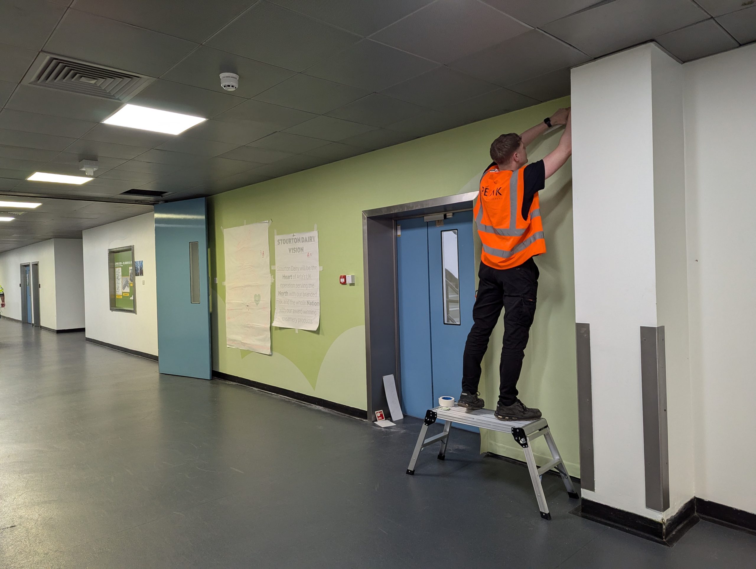 Peak VM applying wall graphics at Arla